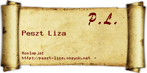 Peszt Liza névjegykártya